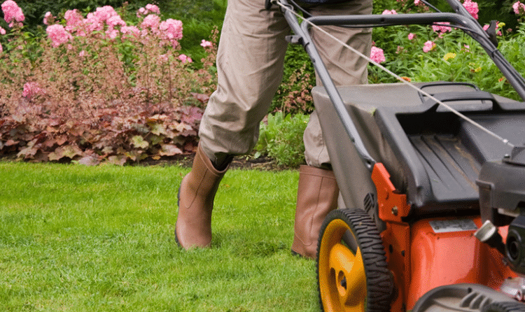 How To Value And Sell A Lawn Care Business In Scottsdale, AZ