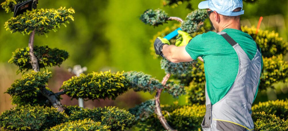Selling A Landscaping Business In Arizona: What Your Company Is Really Worth