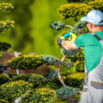 Selling A Landscaping Business In Arizona: What Your Company Is Really Worth